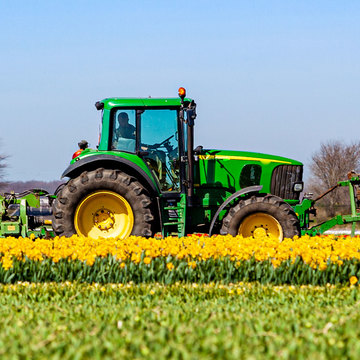 foto Productos agropecuarios