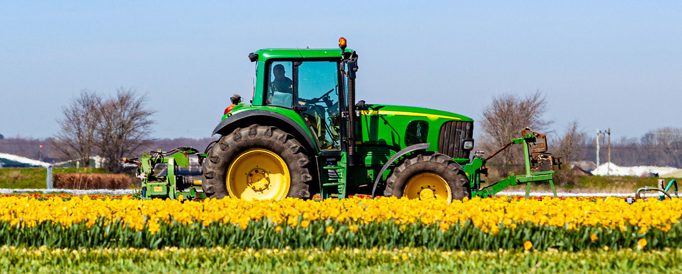 foto Productos agropecuarios