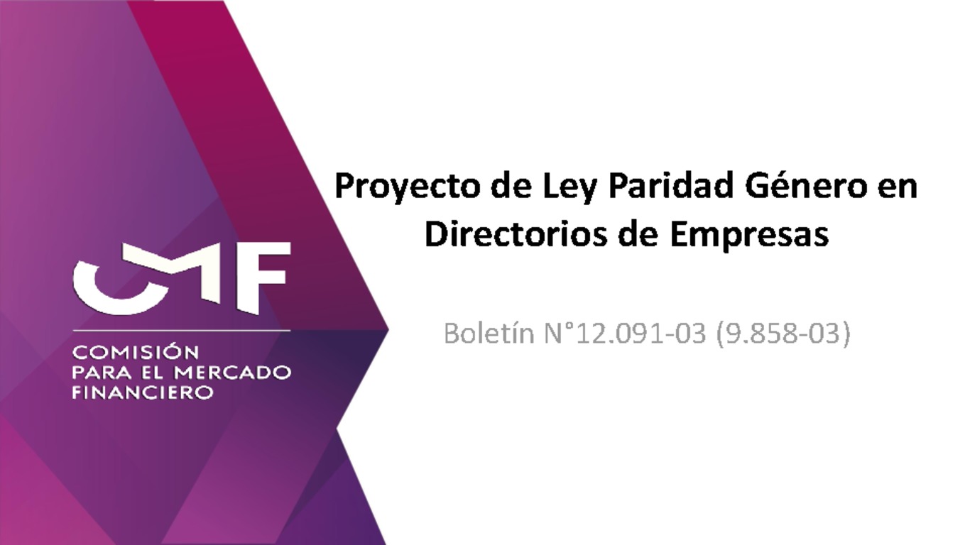 Presentación: "Proyecto de Ley Paridad Género en Directorios de Empresas" - Bernardita Piedrabuena K.