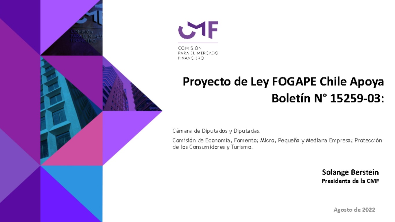 Presentación "Proyecto de Ley FOGAPE Chile Apoya Boletín N° 15259-03"