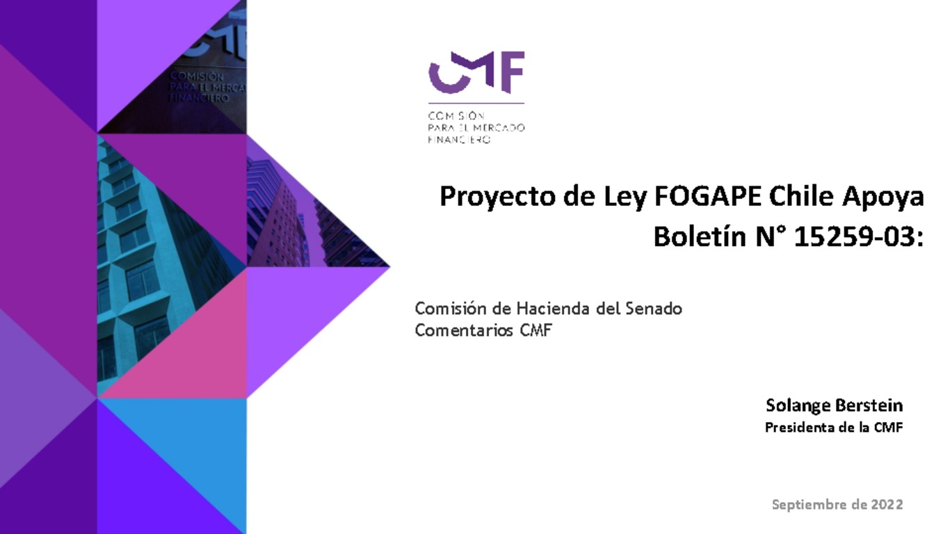Presentación "Proyecto de Ley FOGAPE Chile Apoya"