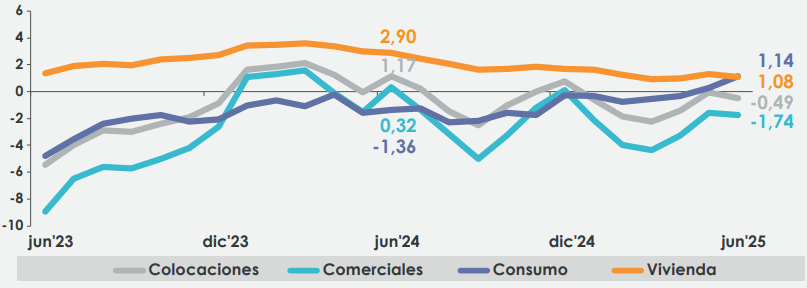 Graph: Total loans and loans by portfolio, banking system (Real annual variation expressed in percentage)