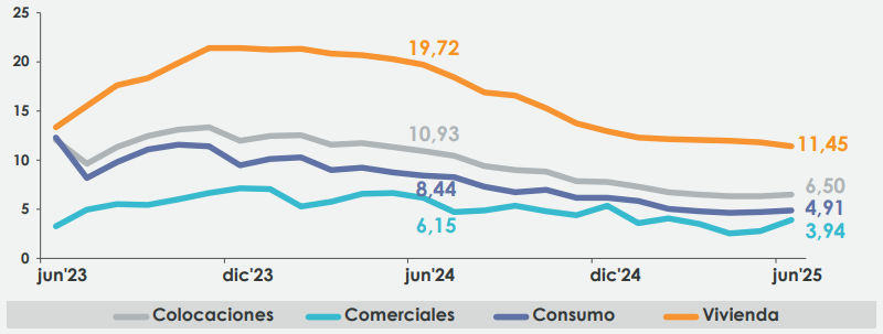 Graph: Total loans and loans by portfolio, savings and credit cooperatives (Real annual variation expressed in percentage)
