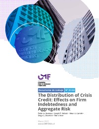 Documento de Trabajo Nº 01/22: The Distribution of Crisis Credit: Effects on Firm Indebtedness and Aggregate Risk