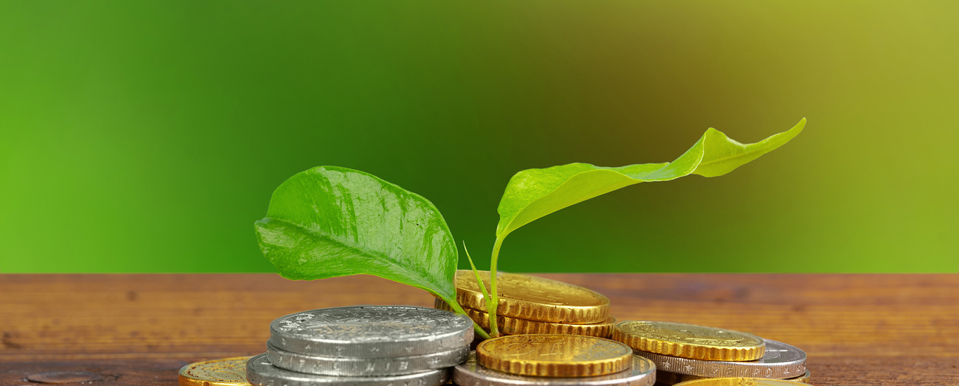 ¿Qué es el Capital Semilla? CMF Educa Comisión para el Mercado