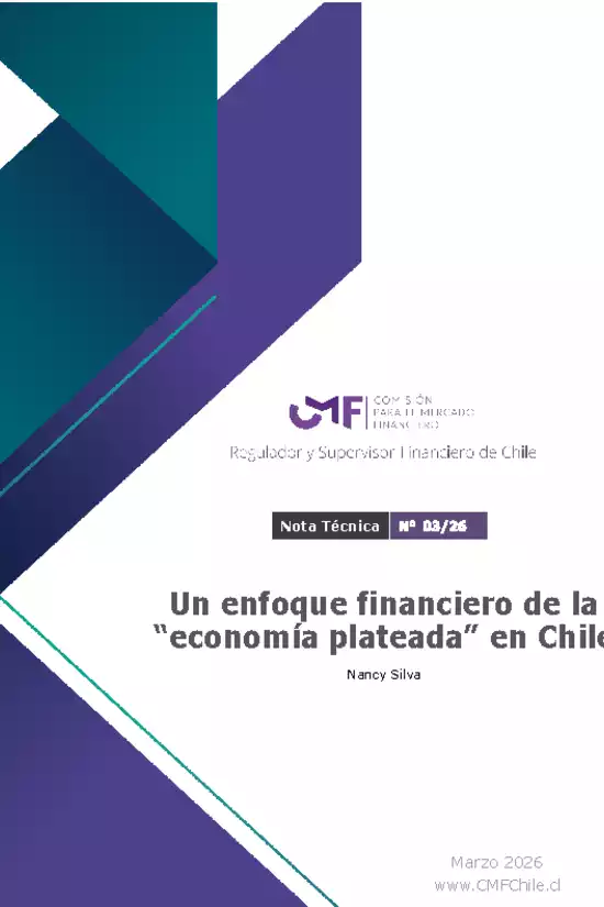 Un enfoque financiero de la “economía plateada” en Chile