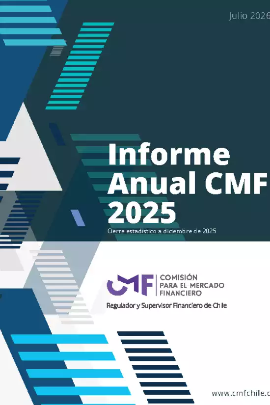 Informe anual 2025