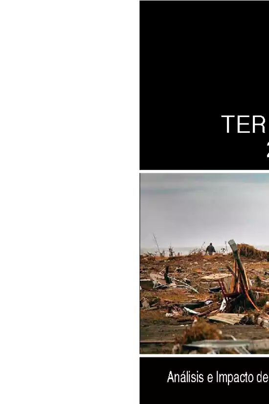 Terremoto 2010