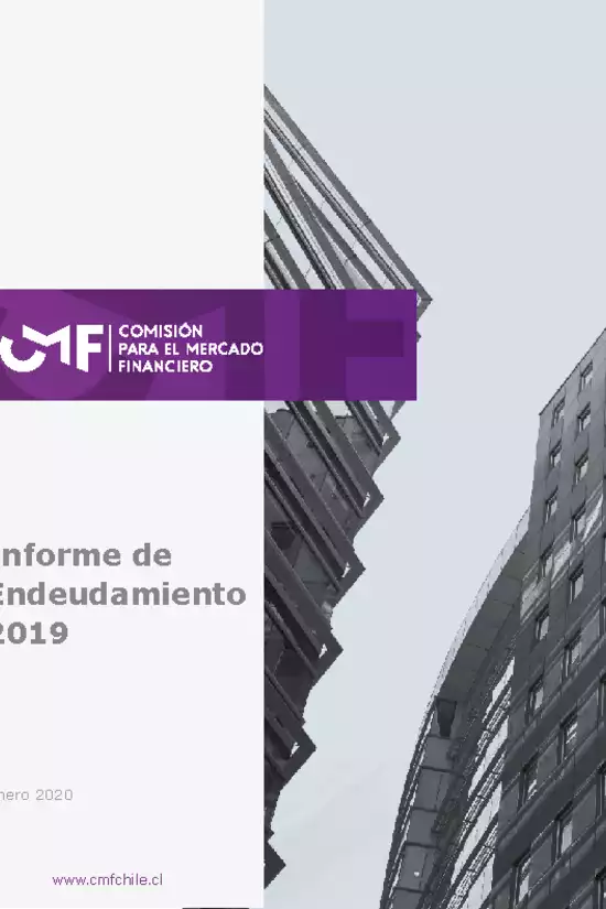 Informe de Endeudamiento 2019