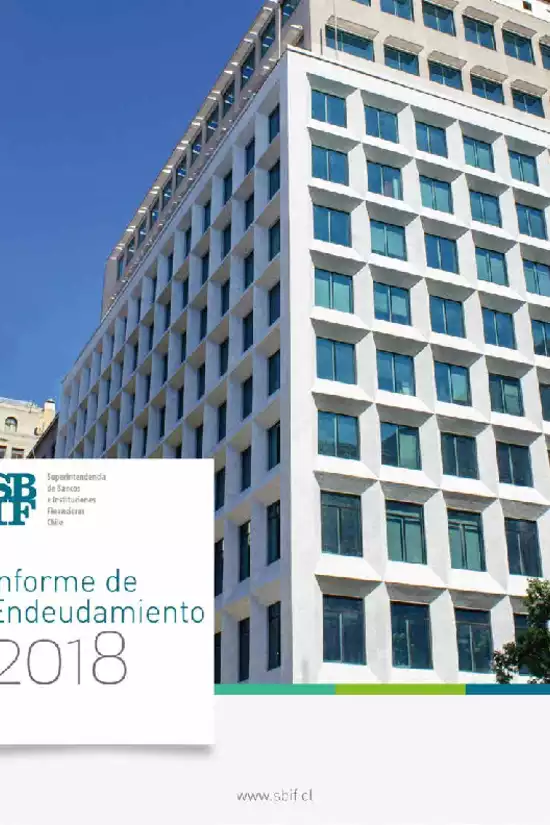 Informe de Endeudamiento 2018