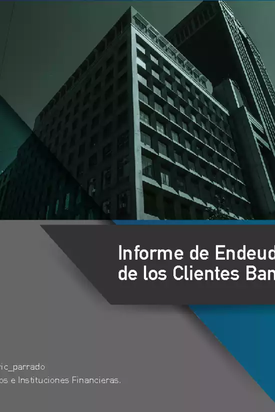 Informe de Endeudamiento 2017