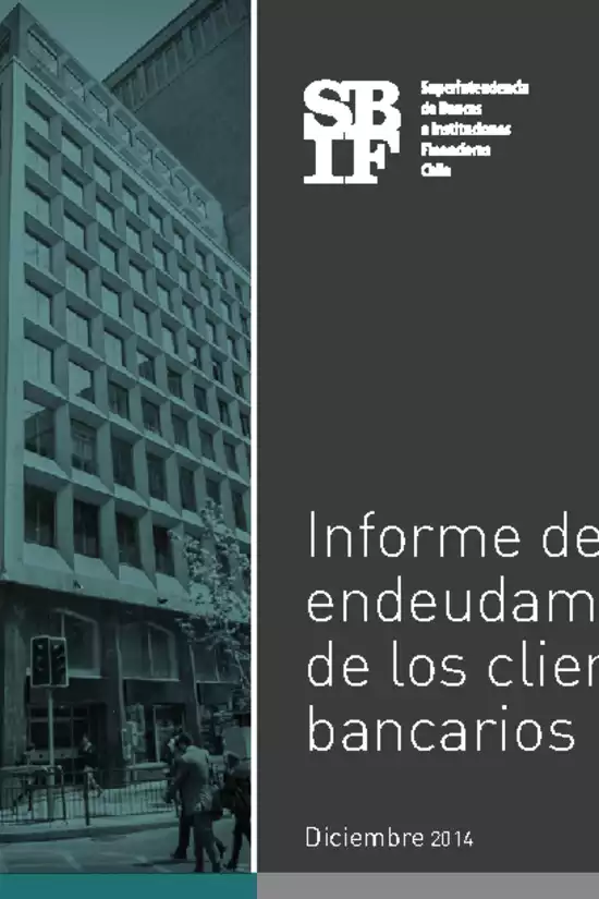 Informe de Endeudamiento 2014