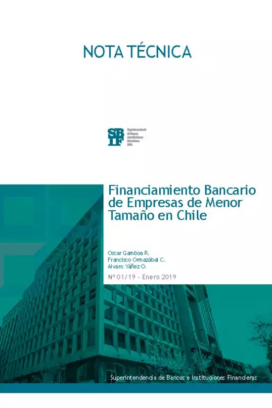 Financiamiento Bancario de Empresas de Menor Tamaño en Chile