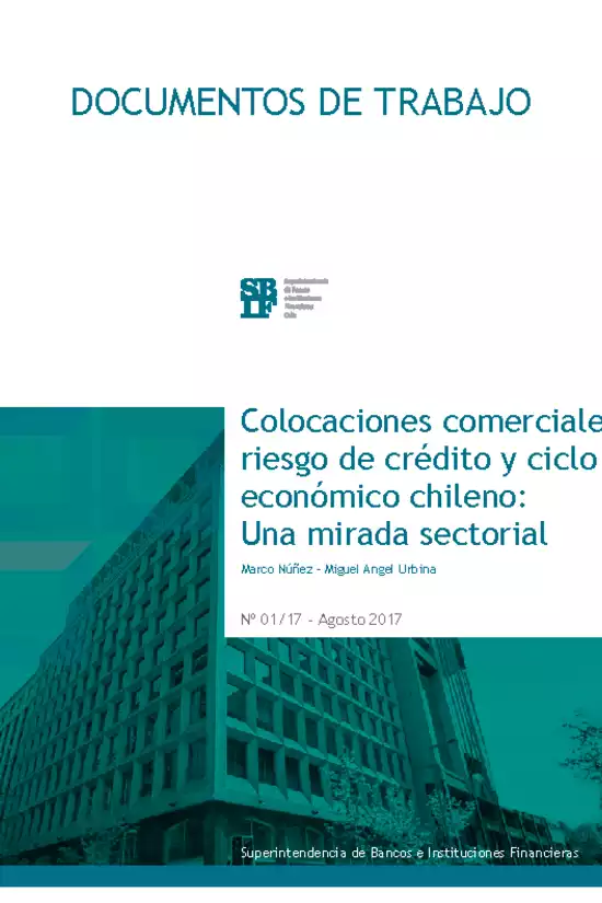 Documento de Trabajo: Colocaciones comerciales, riesgo de crédito y ciclo económico chileno: Una mirada sectorial