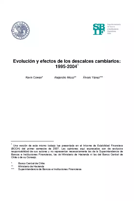 Evolución y efectos de los descalces cambiarios: 1995-2004