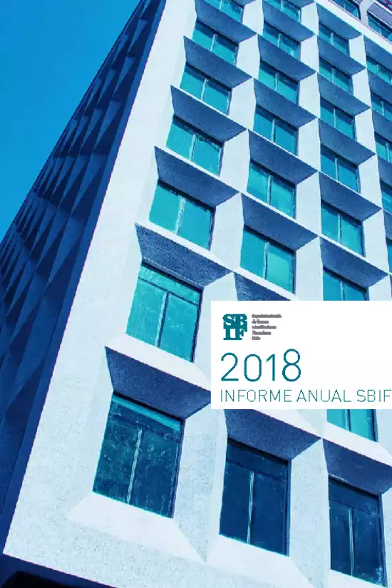 Informe anual 2018 SBIF