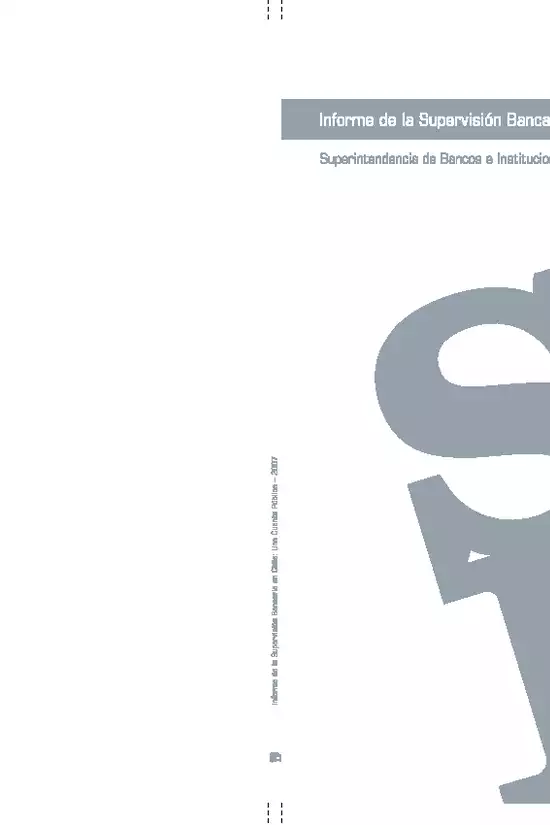 Informe anual 2007 SBIF