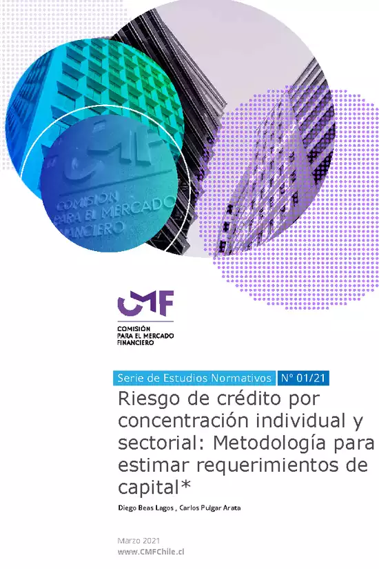 Riesgo de crédito por concentración individual y sectorial: Metodología para estimar requerimientos de capital