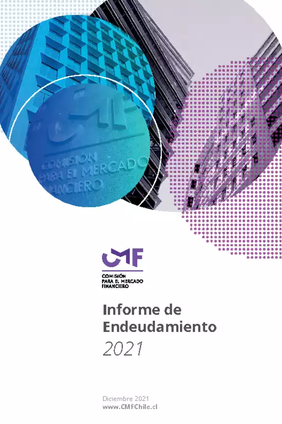 Informe de Endeudamiento - 2021