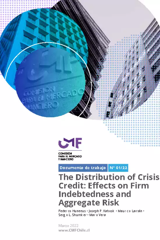 Documento de Trabajo Nº 01/22: The Distribution of Crisis Credit: Effects on Firm Indebtedness and Aggregate Risk