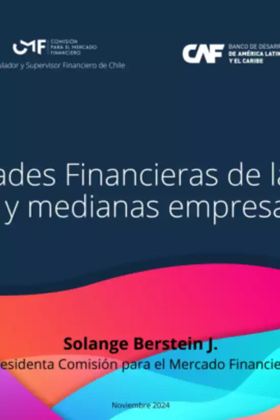 Presentación Capacidades Financieras de las micro, pequeñas y medianas empresas en Chile 2024
