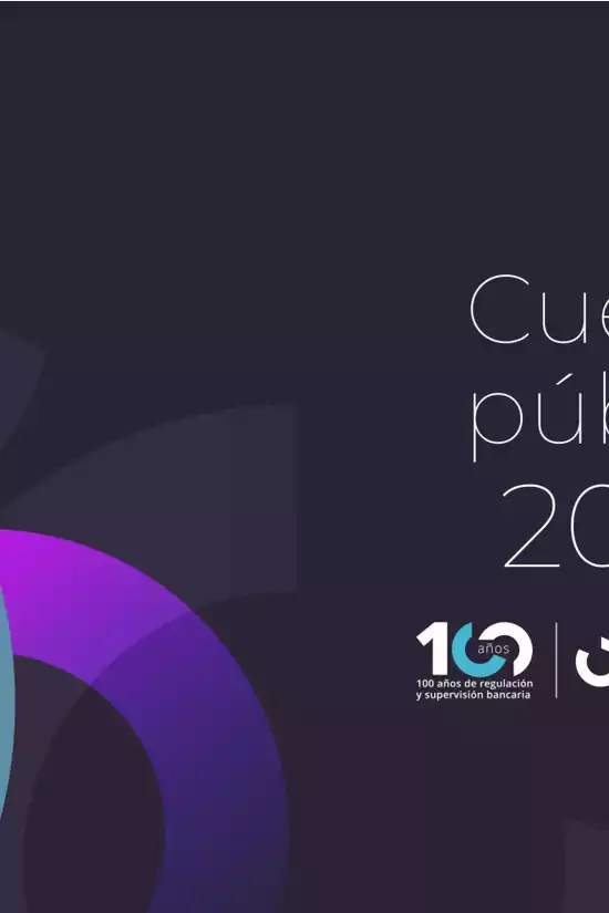 Cuenta Pública 2024