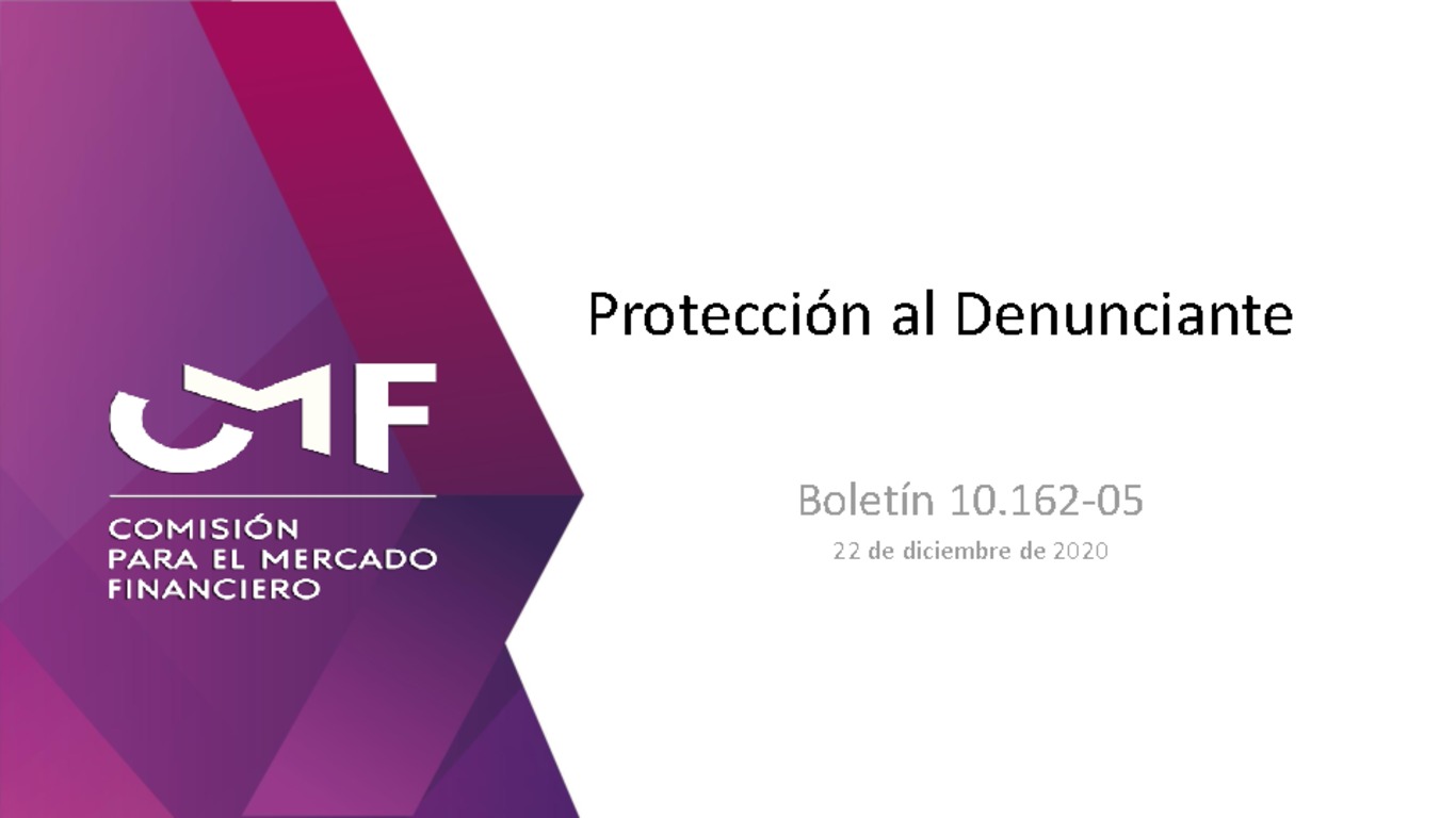 Presentación: Protección al Denunciante - Mauricio Larraín