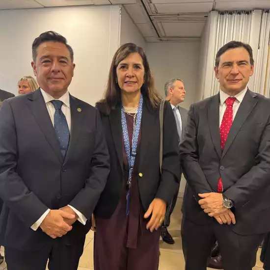 Cuenta Pública 2025