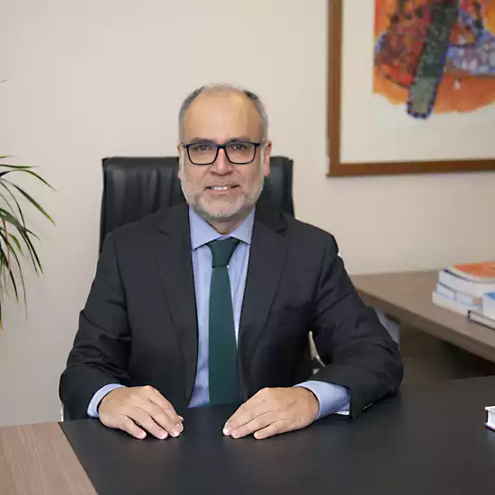 Gerardo Bravo