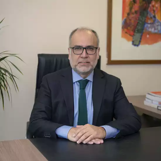 Gerardo Bravo