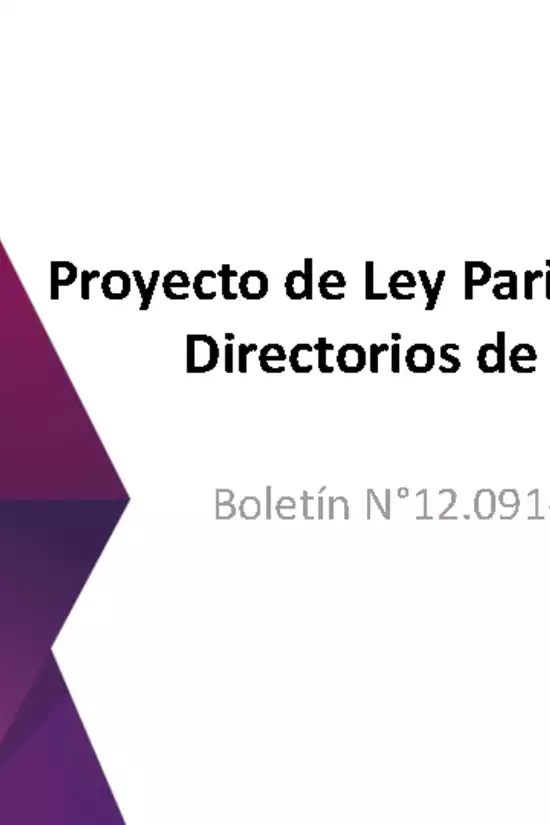 Presentación: "Proyecto de Ley Paridad Género en Directorios de Empresas" - Bernardita Piedrabuena K.