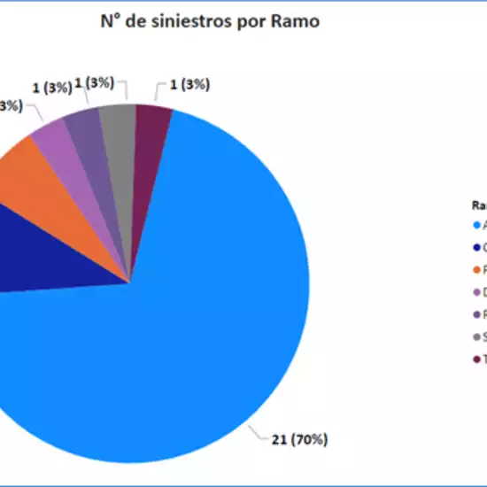 CMF reports on claims filed before insurance companies derived from forest fires in the Valparaíso Region